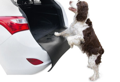 Lökhárító védelem BARRY