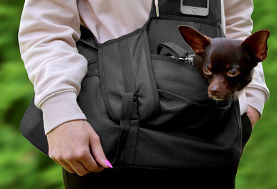 Beverly Hills kutyahordozó táska, M