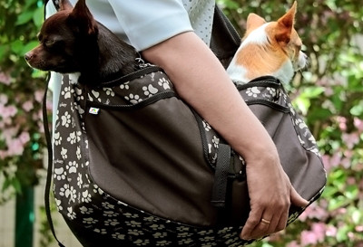 Beverly Hills kutyahordozó táska, L