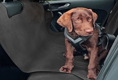 Huzatok a kutyák szállításához ALEX XL